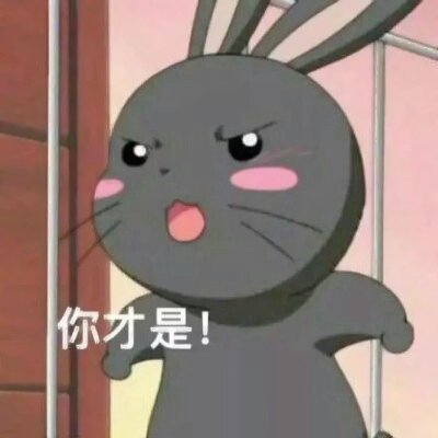 高清好看的漫画情头一左一右图片 漫画情头一男一女两张