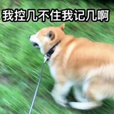 高清好看的可爱沙雕情头 沙雕情头图片