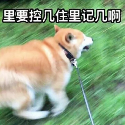 高清好看的可爱沙雕情头 沙雕情头图片