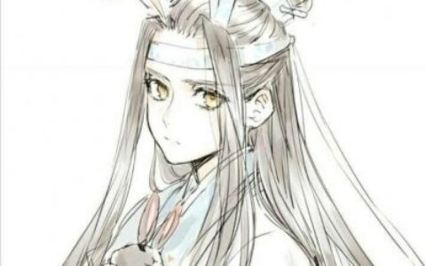 高清好看的蓝忘机和魏无羡情头一左一右 蓝忘机魏无羡情头图片