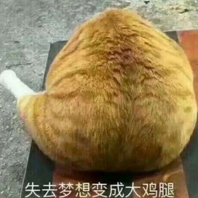 高清魔性有毒带文字的搞笑情侣头像图片 有毒的情侣头像魔性