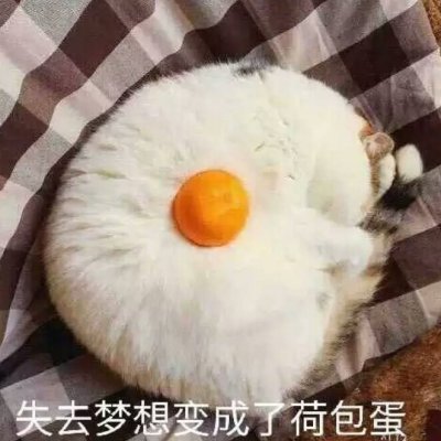 高清魔性有毒带文字的搞笑情侣头像图片 有毒的情侣头像魔性