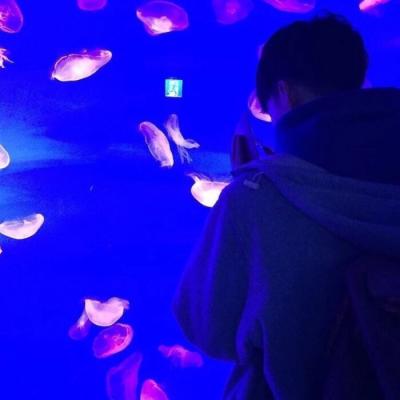 高清带风景的唯美情侣头像图片 情侣头像风景唯美一对