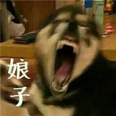 高清恶搞的搞怪逗比情侣头像图片 搞笑逗比情头