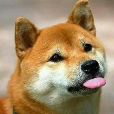 高清恶搞的搞怪逗比情侣头像图片 搞笑逗比情头