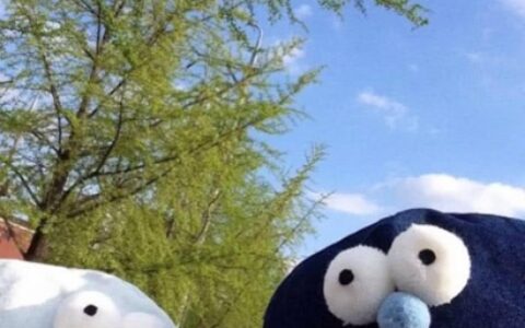 高清好看的蠢萌可爱搞怪情头图片 个性搞笑成一对情头