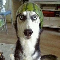 头像整容师·小颜的头像